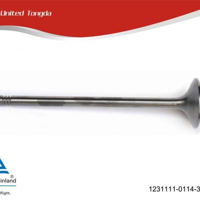 Intake Valve 1231111-0114-311