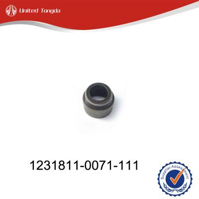 Engine D12 Valve Oil Seal 1231811-0071-111