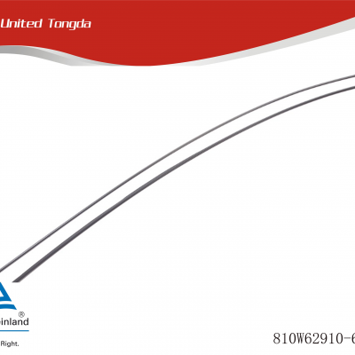 HOWO Protective strip assembly 810W62910-6168